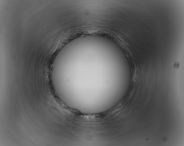 X0000112100524200908041115