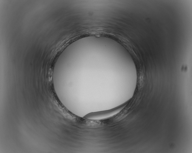 X0000112100525200908041115