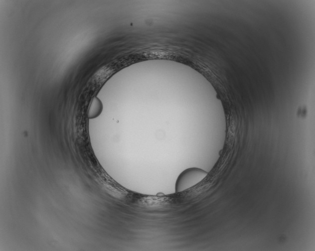 X0000112100526200908041115