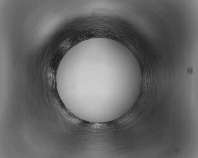 X0000112100527200908041115