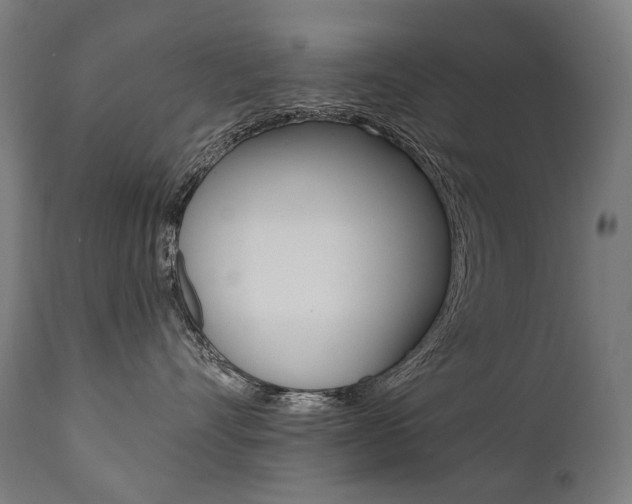 X0000112100528200908041115