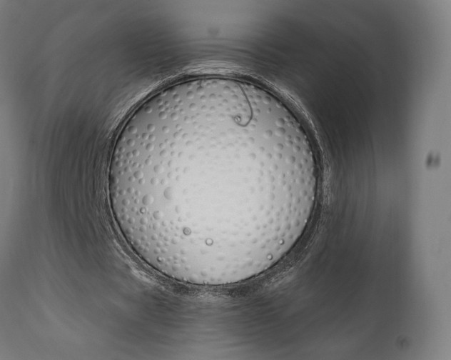 X0000112100529200908041114