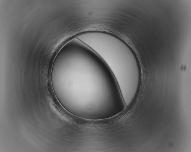 X0000112100530200908041114