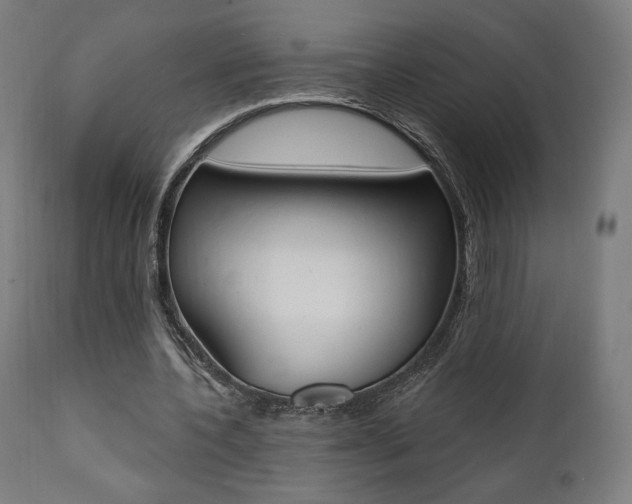 X0000112100532200908041114