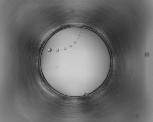 X0000112100533200908041114