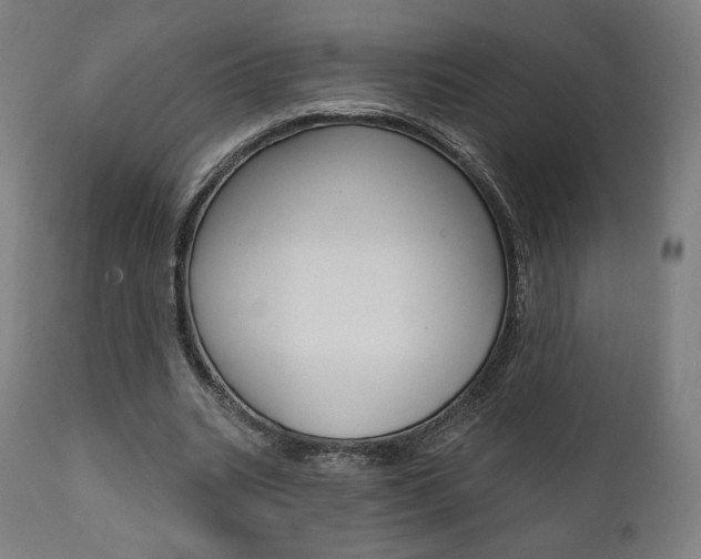 X0000112100535200908041114