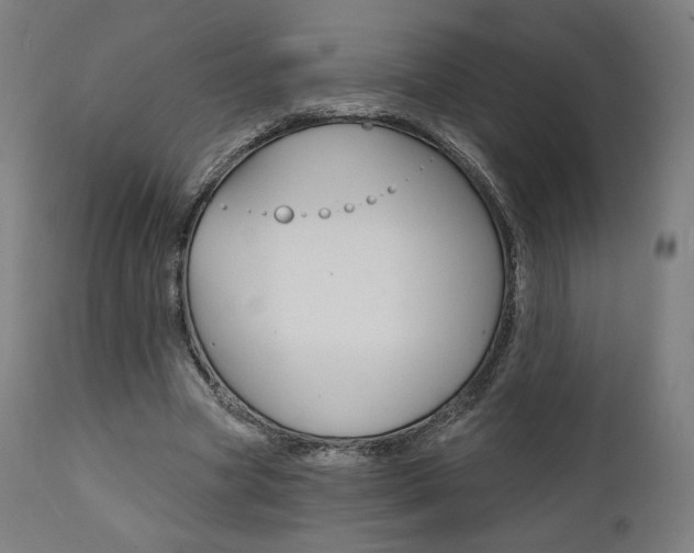 X0000112100537200908041114