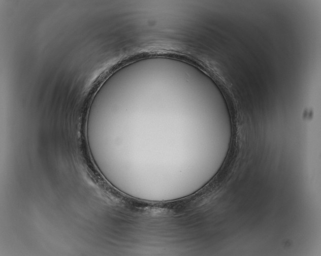 X0000112100539200908041114