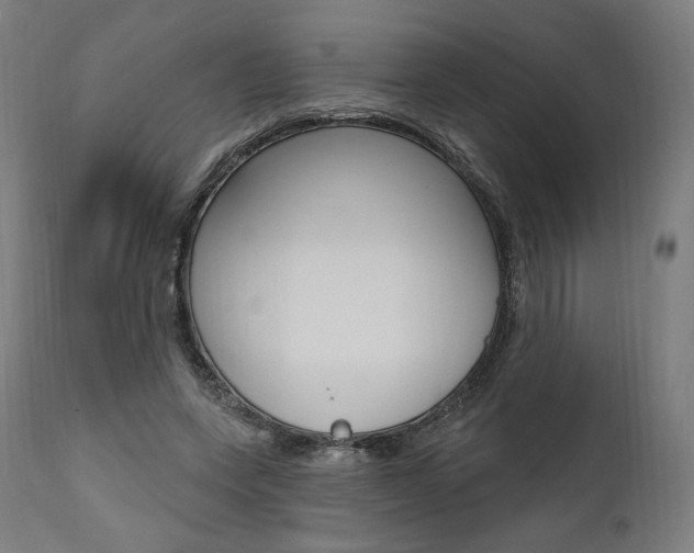 X0000112100543200908041114