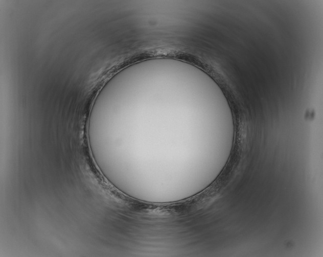 X0000112100545200908041115
