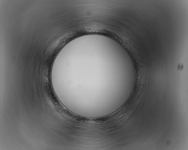 X0000112100547200908041115
