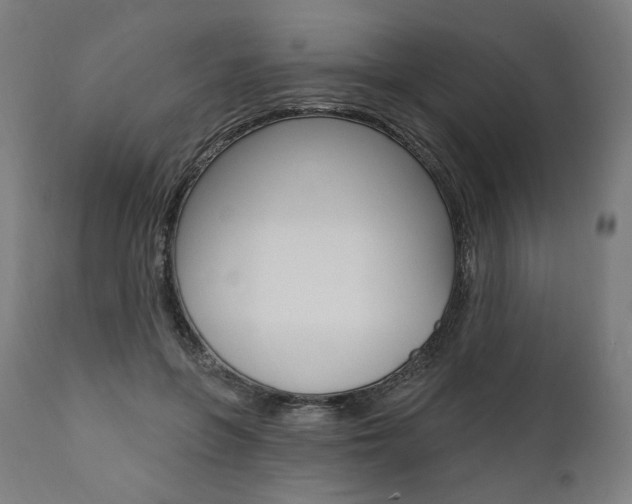 X0000112100551200908041115