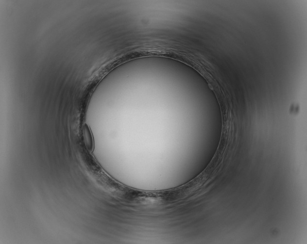 X0000112100552200908041115
