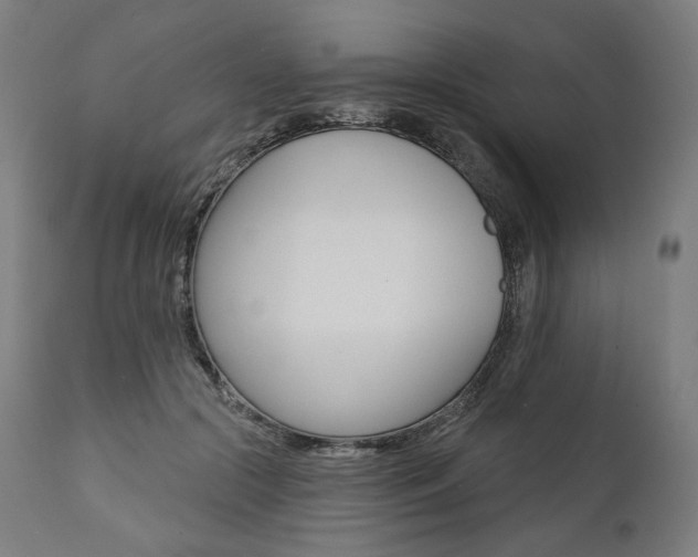 X0000112100553200908041115