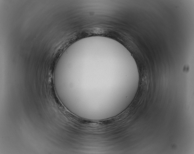 X0000112100555200908041115