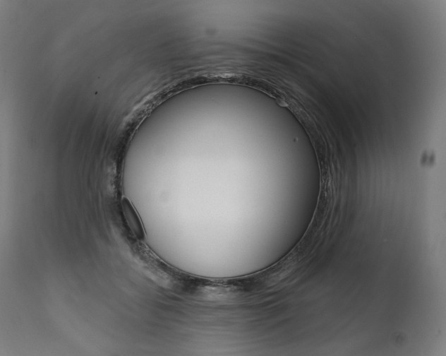 X0000112100556200908041115