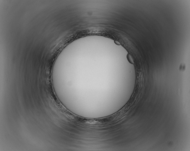 X0000112100557200908041115