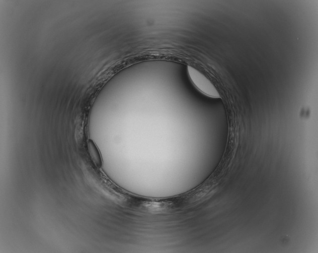 X0000112100558200908041115