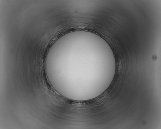 X0000112100559200908041115