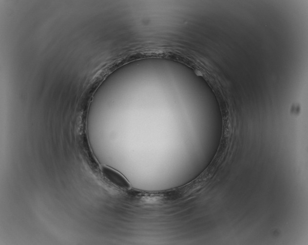 X0000112100560200908041115