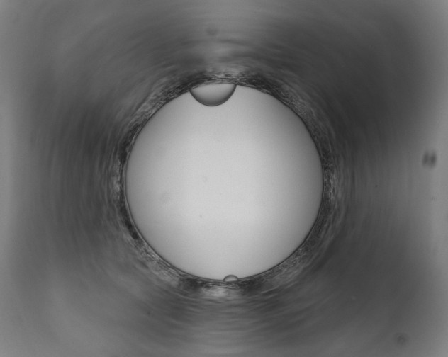 X0000112100561200908041115