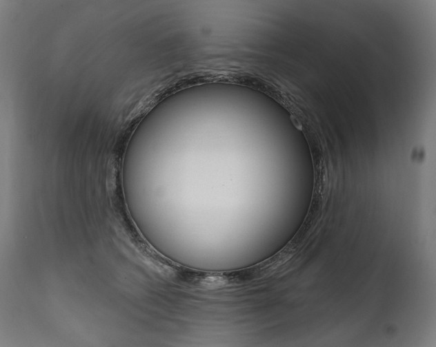 X0000112100562200908041115