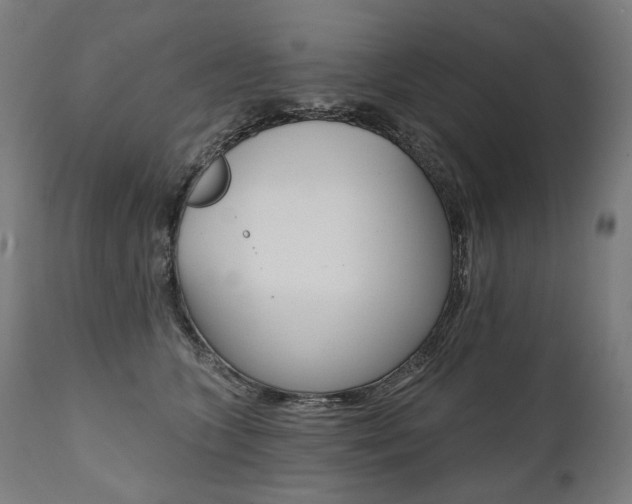 X0000112100563200908041115