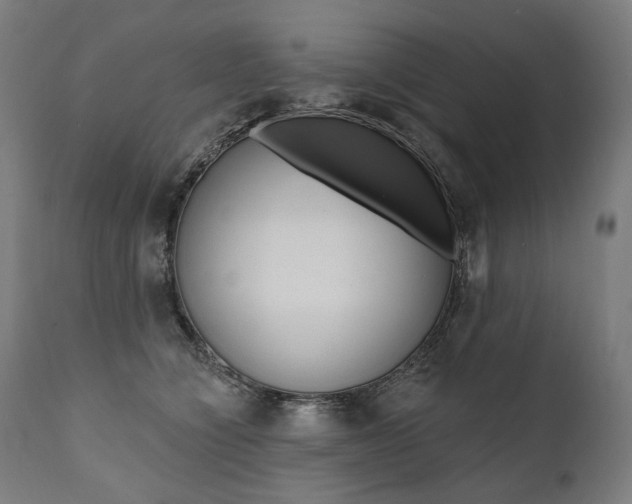 X0000112100564200908041115