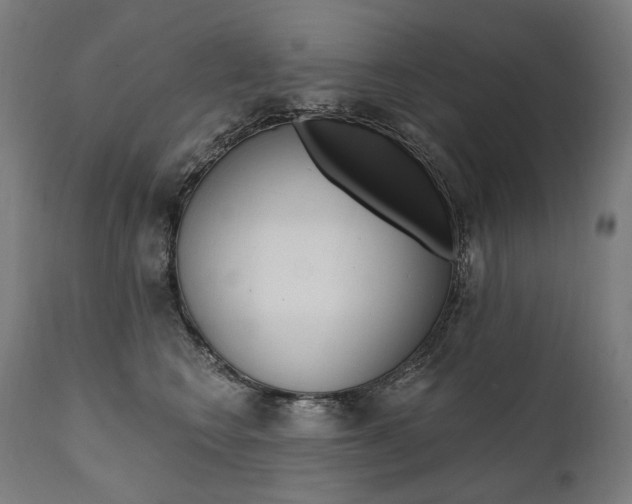 X0000112100566200908041115