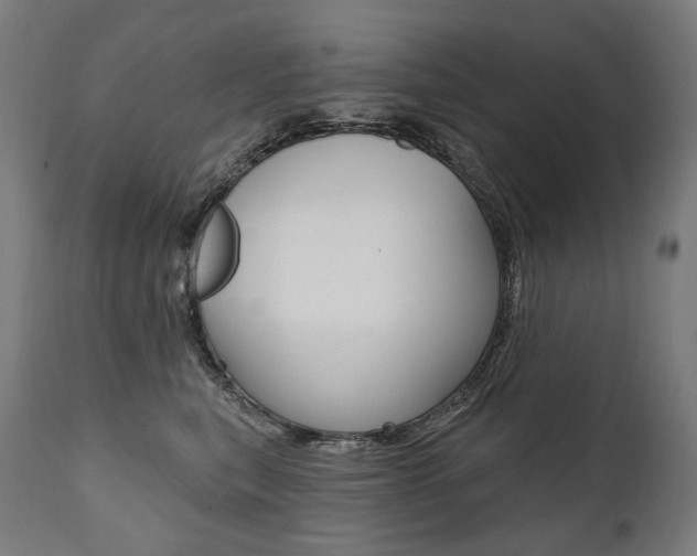 X0000112100567200908041115