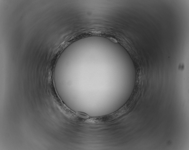 X0000112100568200908041115