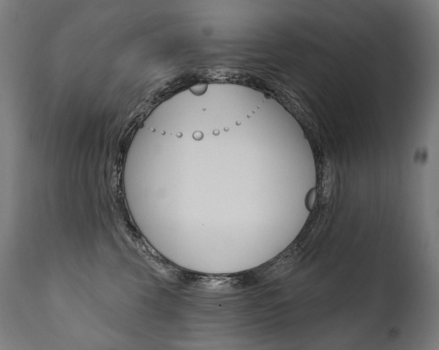 X0000112100569200908041115
