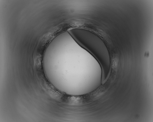 X0000112100570200908041115