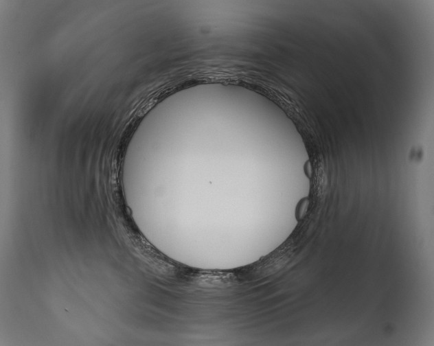 X0000112100571200908041115