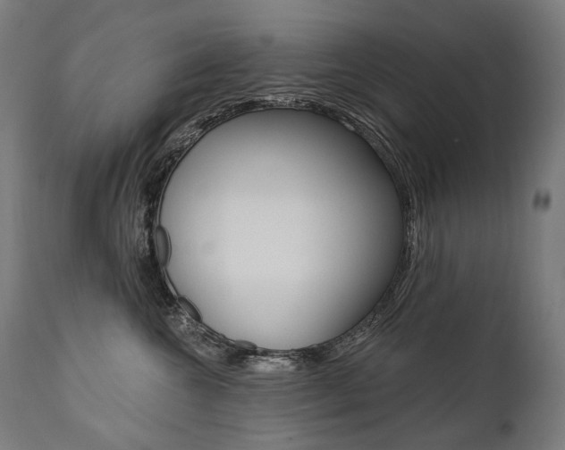 X0000112100572200908041115