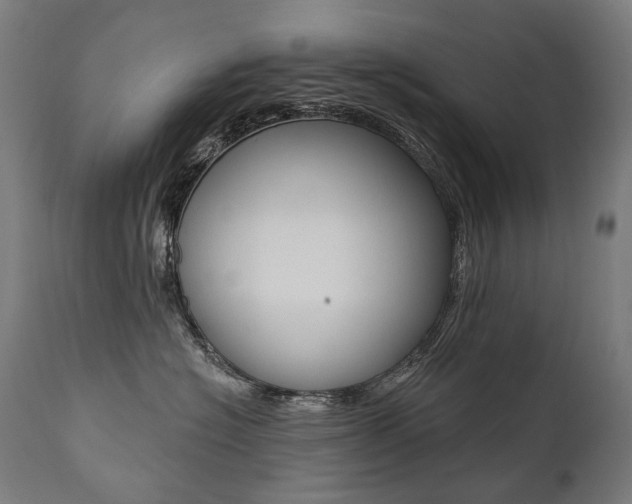 X0000112100574200908041115
