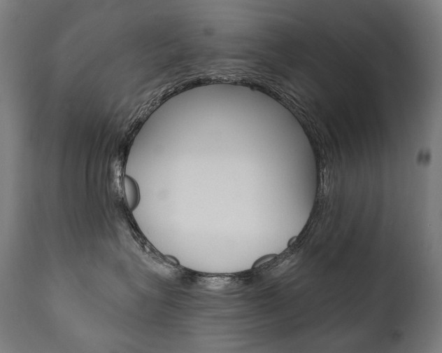 X0000112100575200908041115