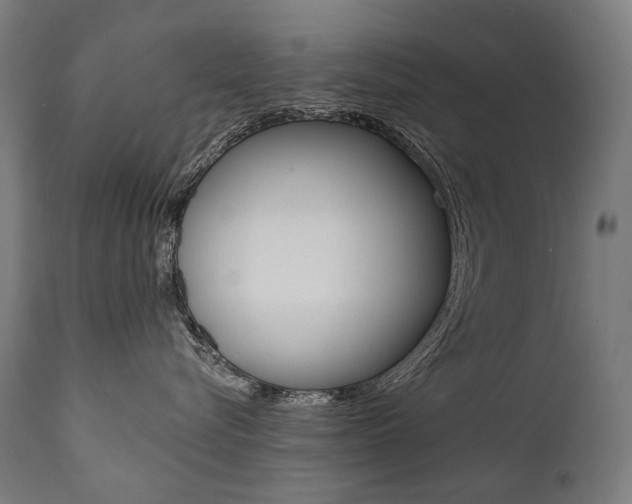 X0000112100576200908041115