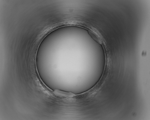 X0000112100577200908041114