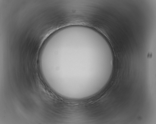 X0000112100579200908041114