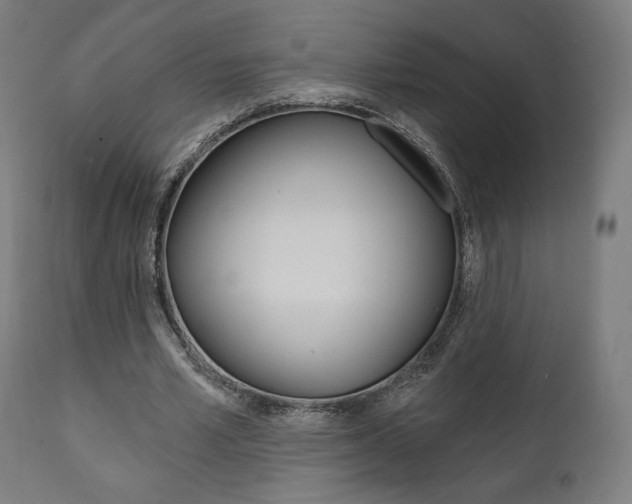 X0000112100581200908041114