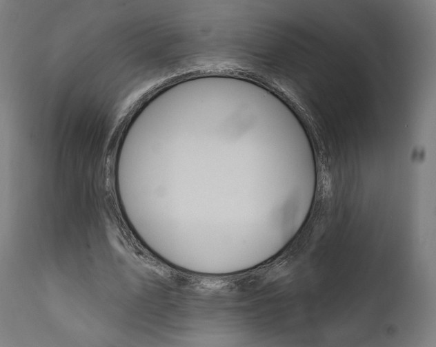 X0000112100583200908041114