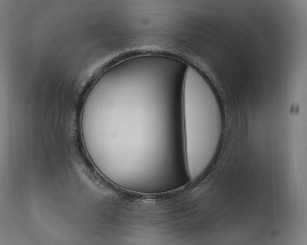 X0000112100588200908041114