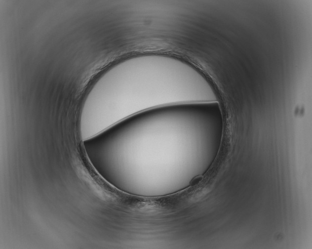 X0000112100589200908041114