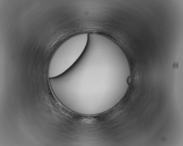 X0000112100595200908041114