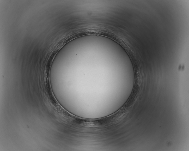 X0000112100597200908041114