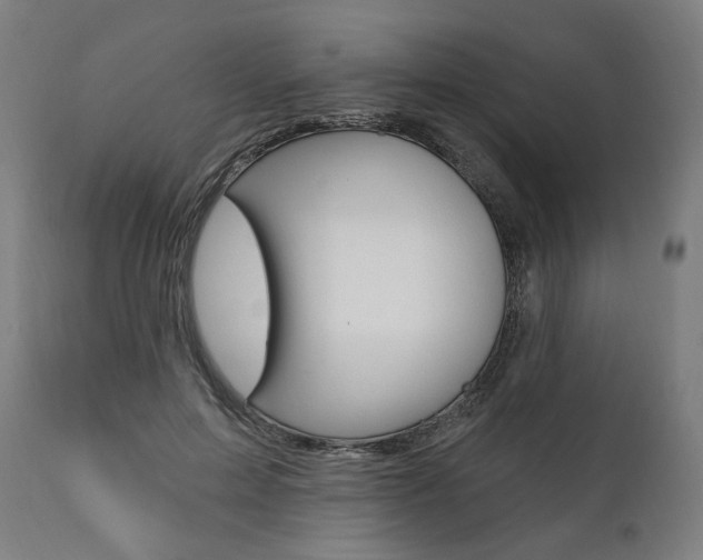 X0000112100599200908041114