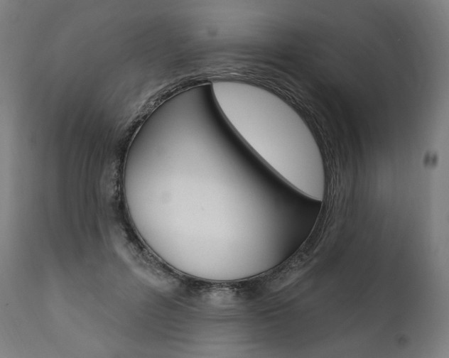X0000112100600200908041114