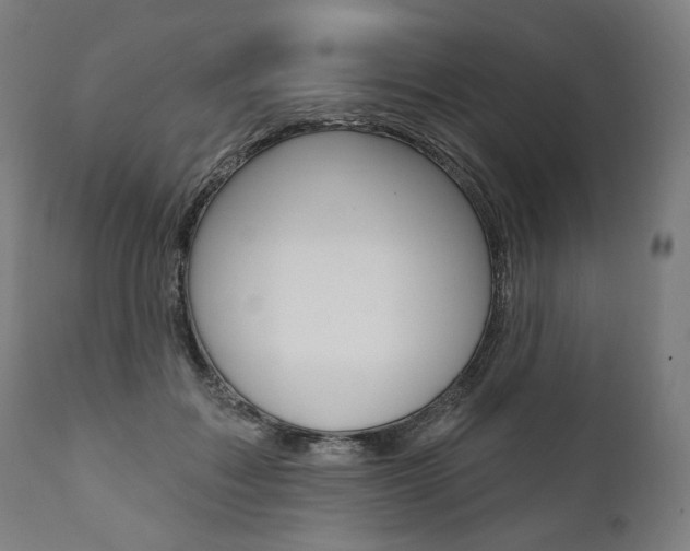 X0000112100603200908041114