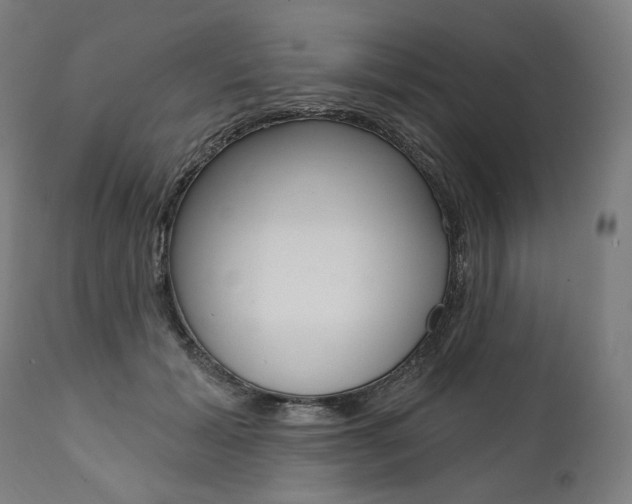 X0000112100605200908041114